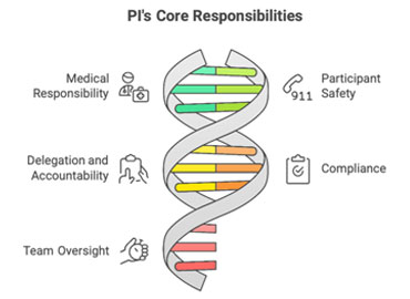 KEY RESPONSIBILITIES OF THE INVESTIGATOR DURING A CLINICAL TRIAL